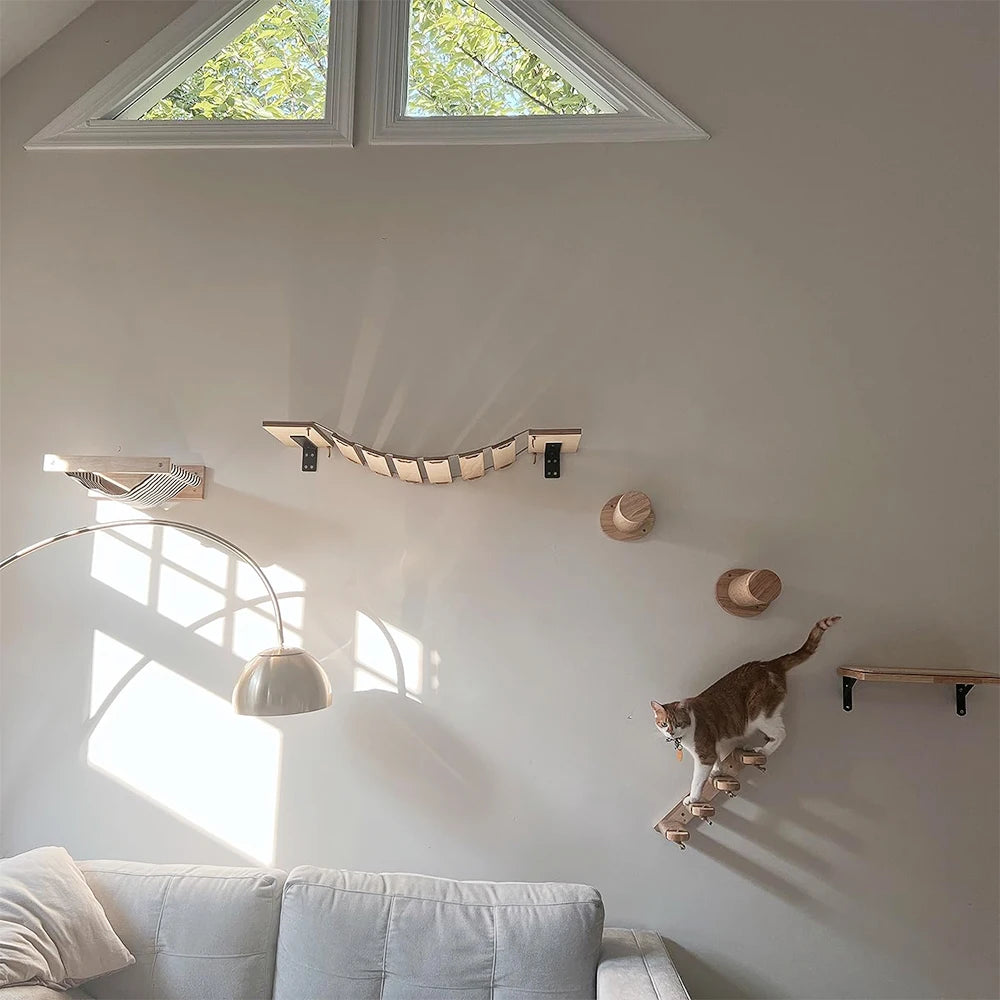 Elevate your cat’s playtime with a wall mounted climbing shelf that blends exercise, curiosity, and stylish design.
