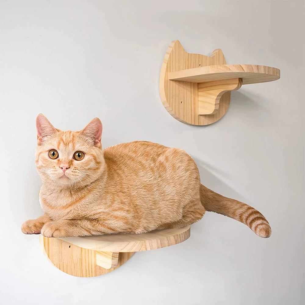 Elevate your cat’s playtime with a wall mounted climbing shelf that blends exercise, curiosity, and stylish design.