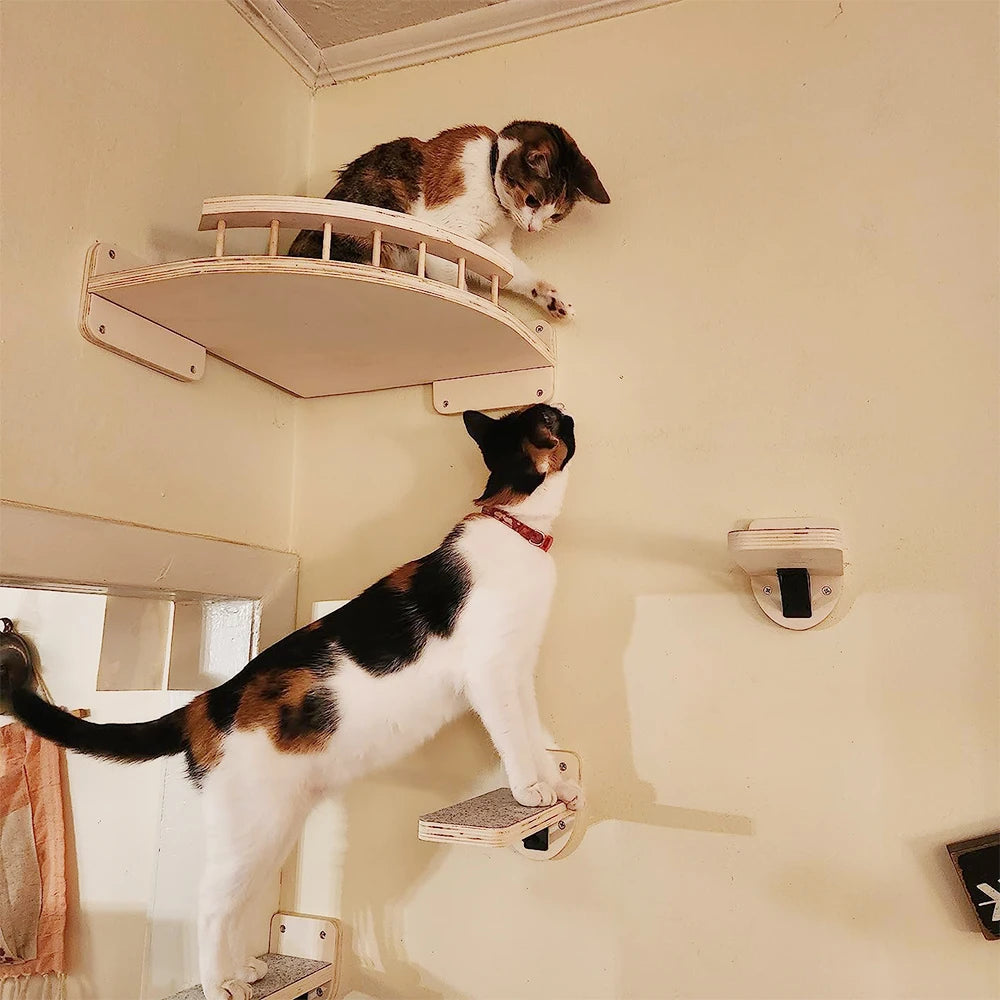 Elevate your cat’s playtime with a wall mounted climbing shelf that blends exercise, curiosity, and stylish design.